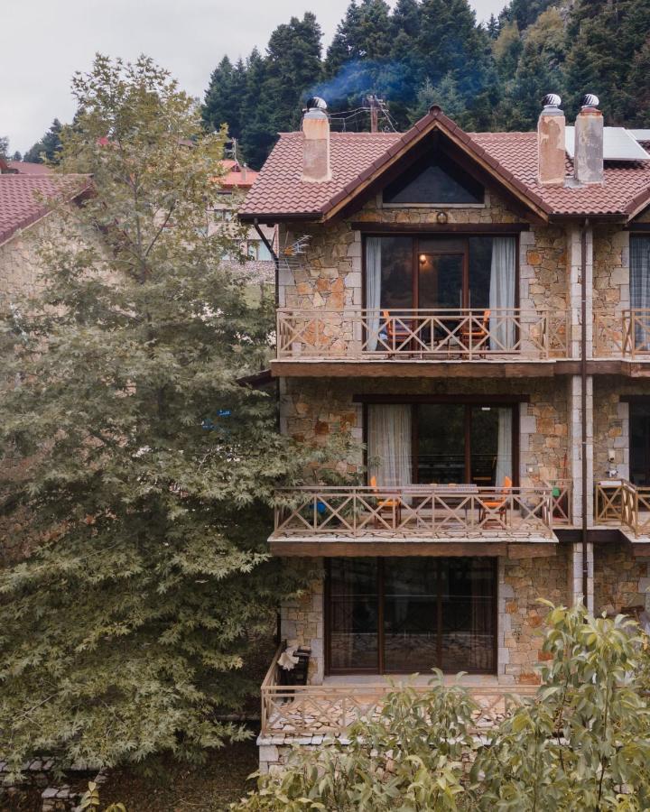 Parnassus Dreamwood Chalet Eptálofos Esterno foto